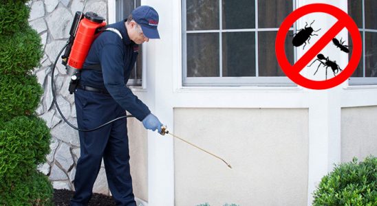 Sarıçam Dezenfeksiyon böcek ilaçlama ve haşere kontrolü — ilaclama-tr.com